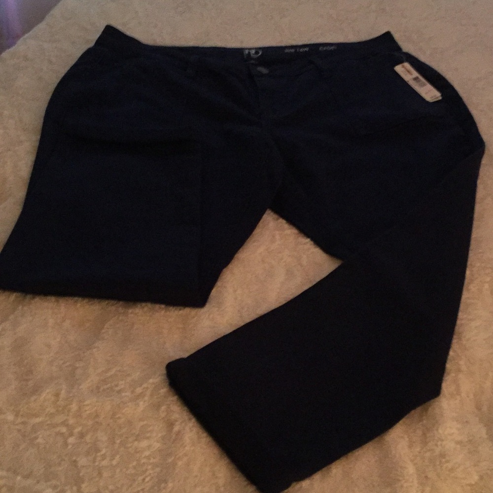 Plus size Blue Colored Jeans.